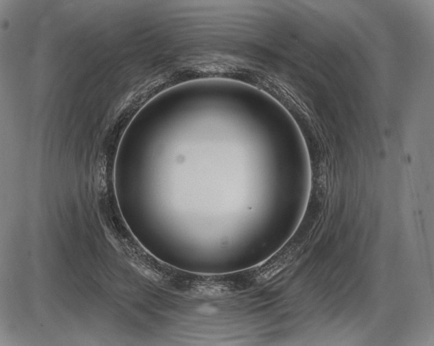 X0000086270547200703291438