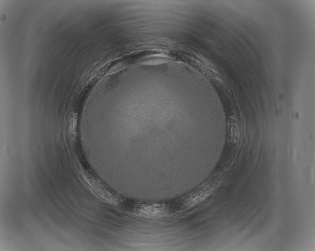 X0000086270550200703291438