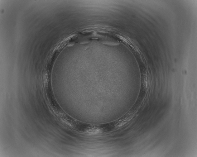 X0000086270551200703291438