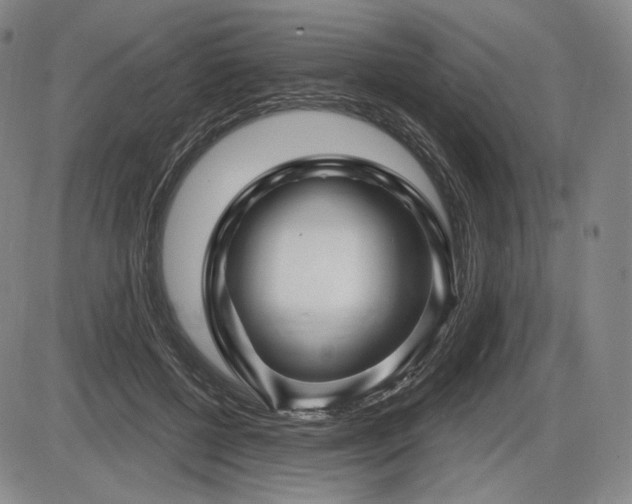 X0000086270552200703291438