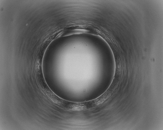 X0000086270555200703291438