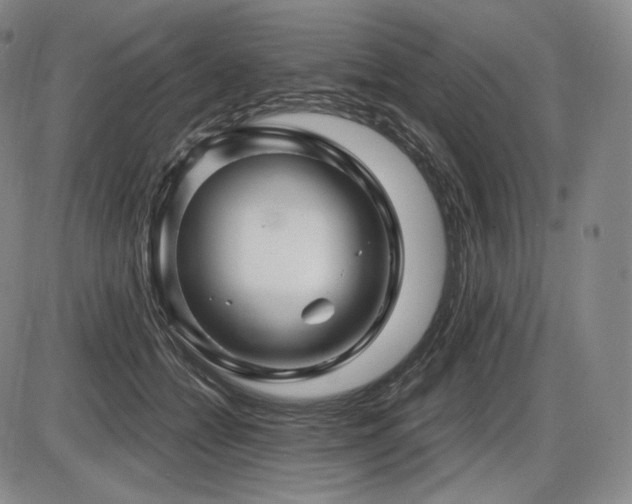 X0000086270558200703291438