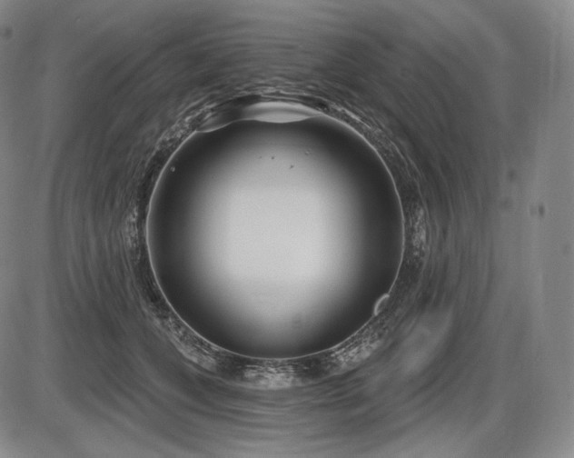 X0000086270559200703291438