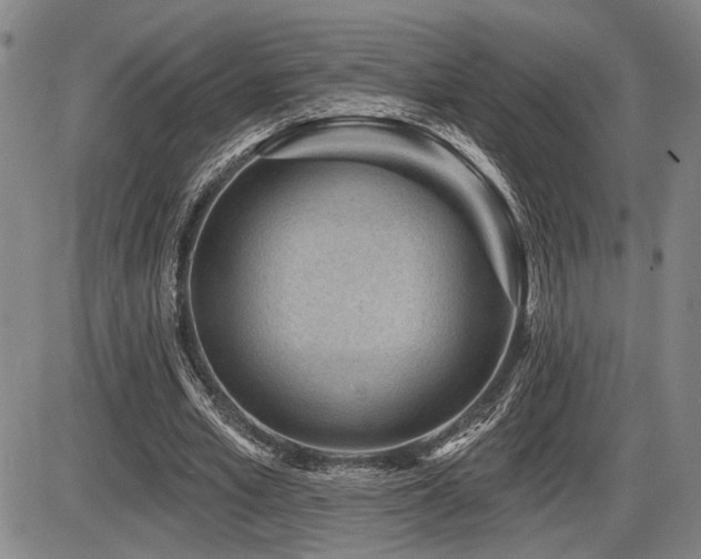 X0000086270581200703291438