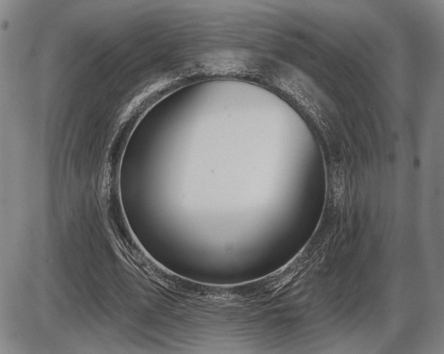 X0000086270583200703291438