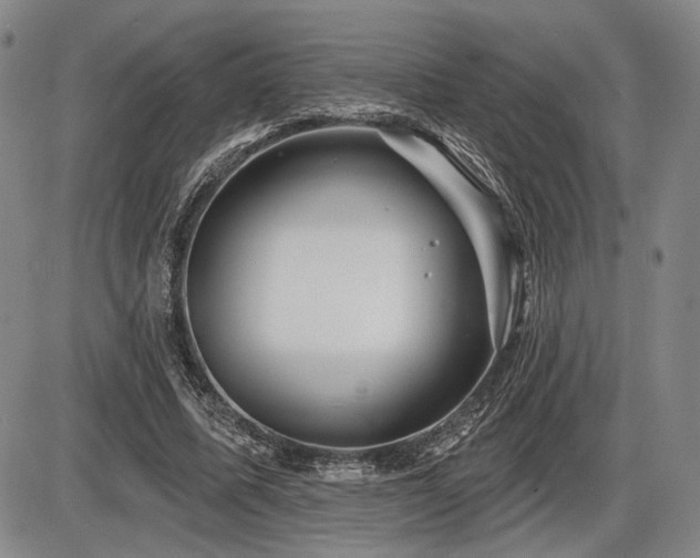 X0000086270587200703291438
