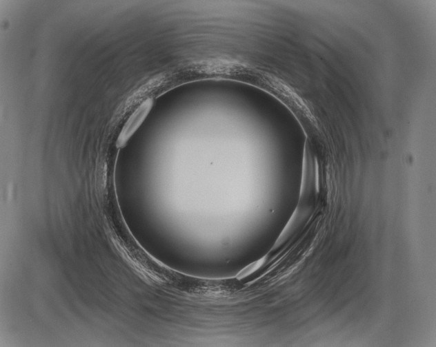 X0000086270589200703291438