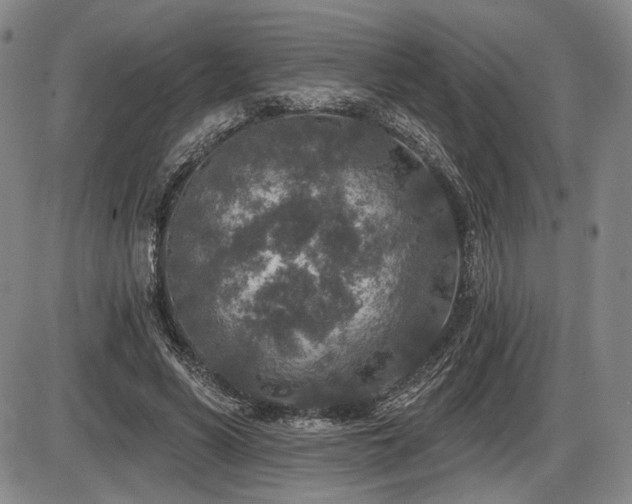X0000086270590200703291437