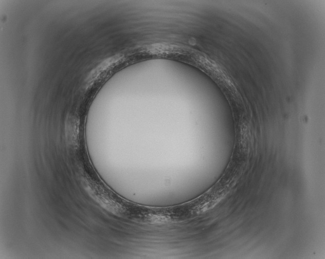 X0000086270592200703291437
