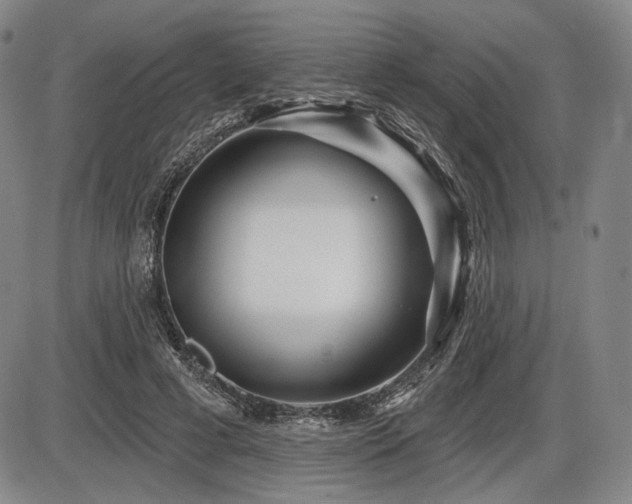 X0000086270593200703291437