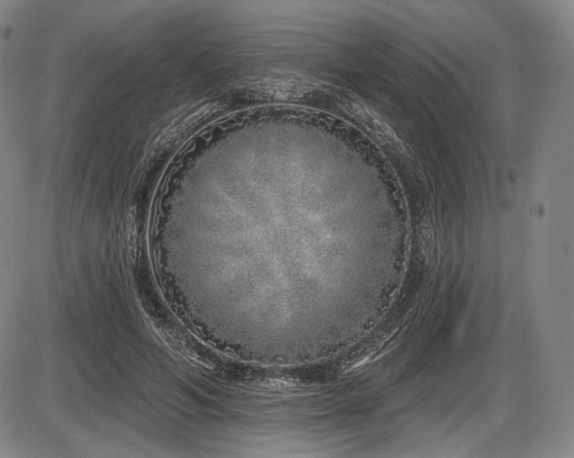 X0000086270594200703291437