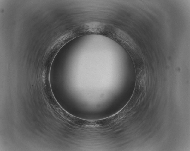 X0000086270595200703291437