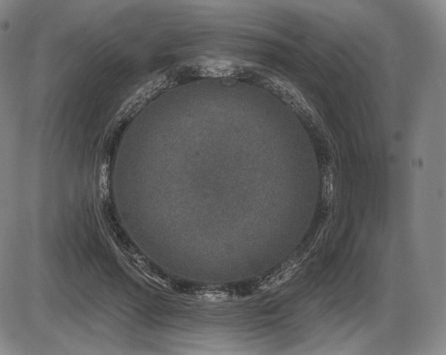 X0000086270598200703291437