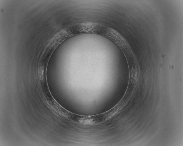 X0000086270602200703291437