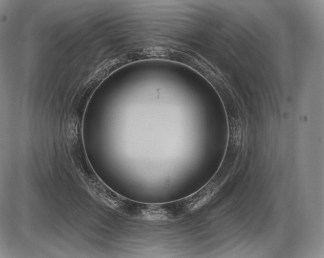 X0000086270603200703291437