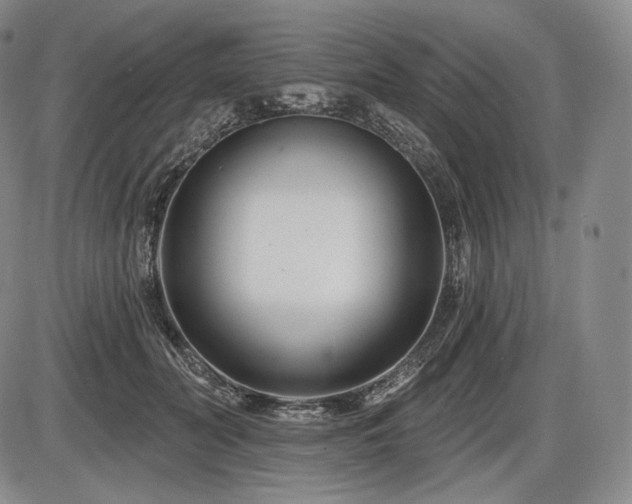 X0000086270606200703291437