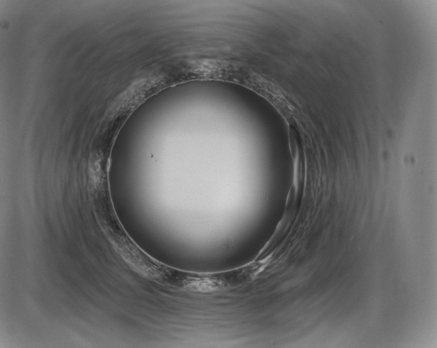 X0000086270611200703291437
