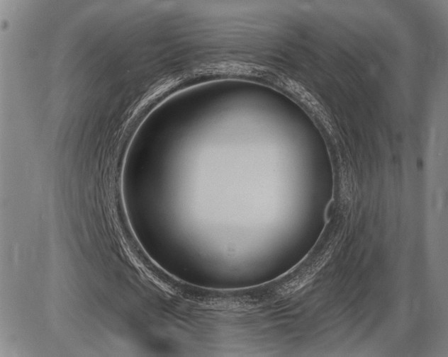 X0000086270625200703291436