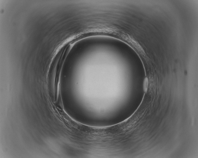 X0000086270628200703291436