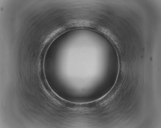X0000086270629200703291436
