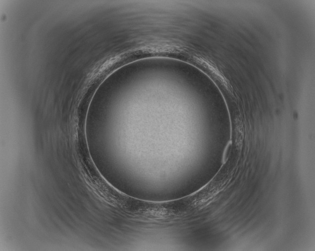 X0000086270631200703291436