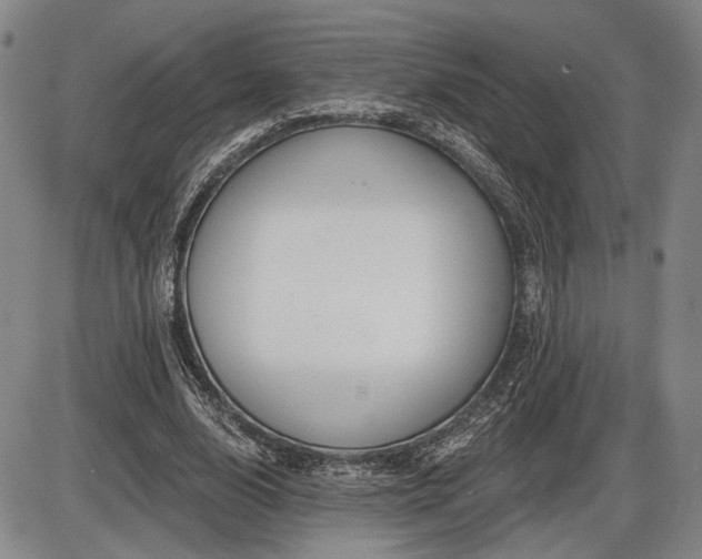 X0000086270632200703291436