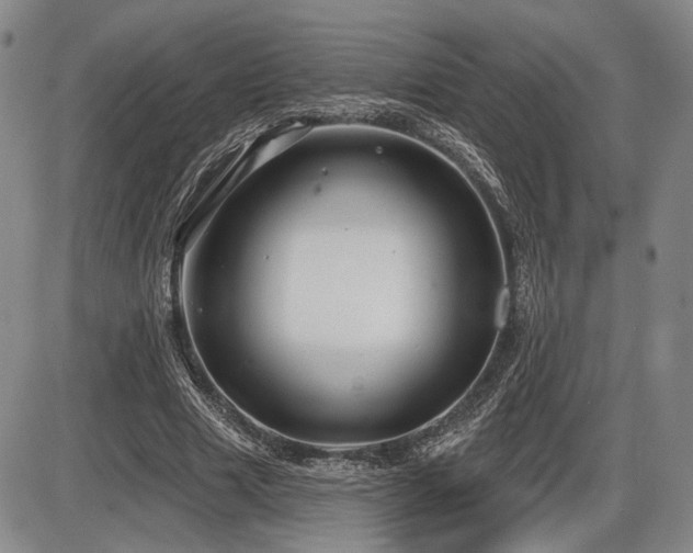 X0000086270633200703291436