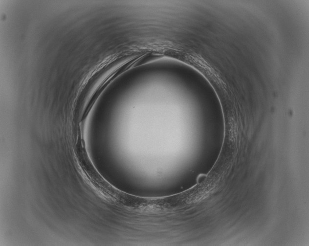 X0000086270634200703291436