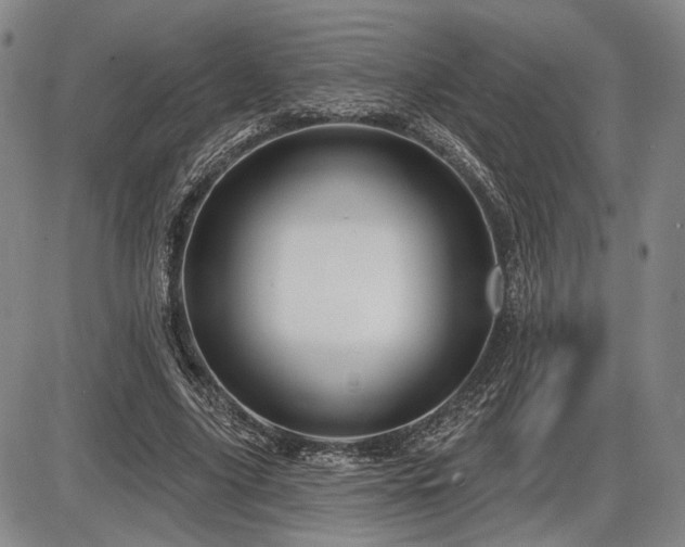X0000086270635200703291436