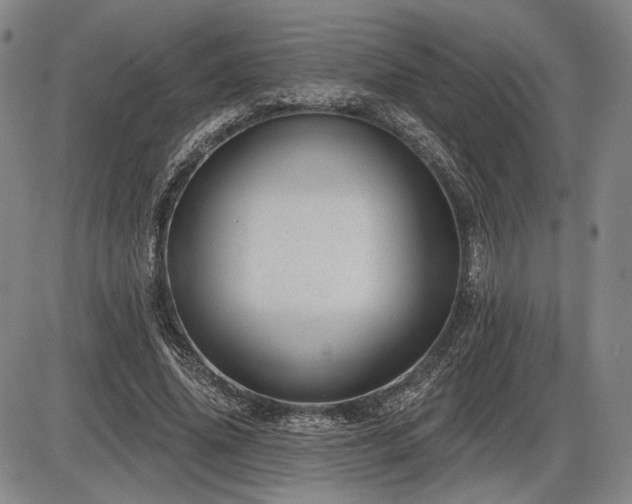 X0000086270636200703291436