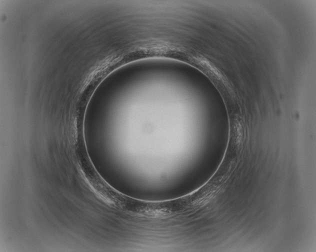 X0000086270638200703291436