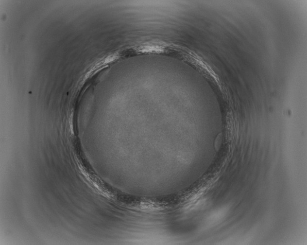 X0000086270641200703291436