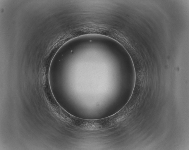X0000086270642200703291436