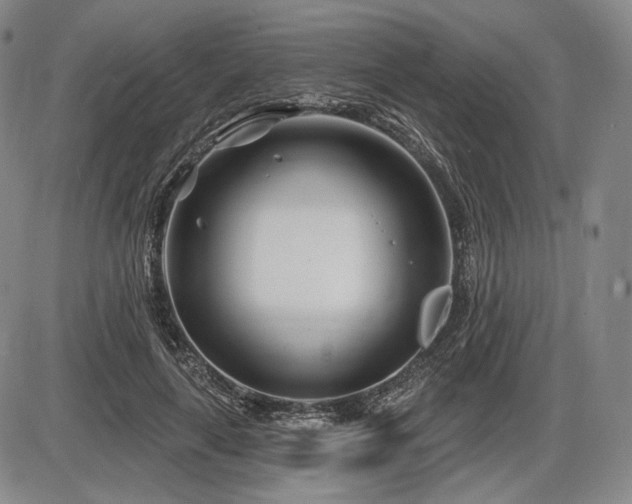 X0000086270643200703291436
