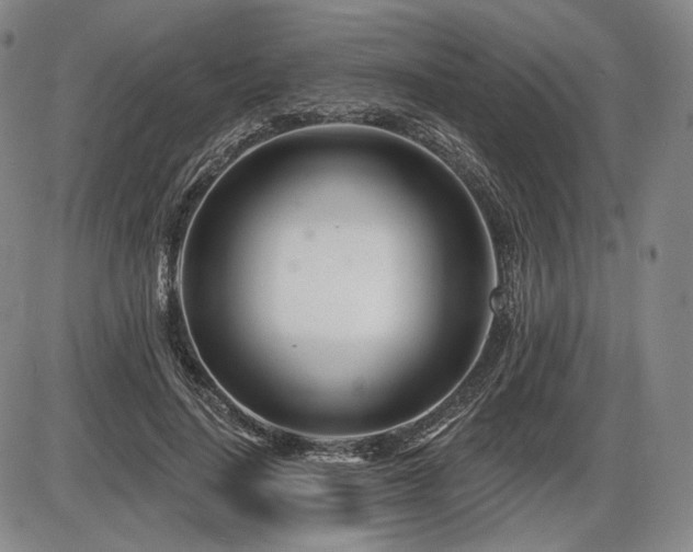 X0000086270644200703291436