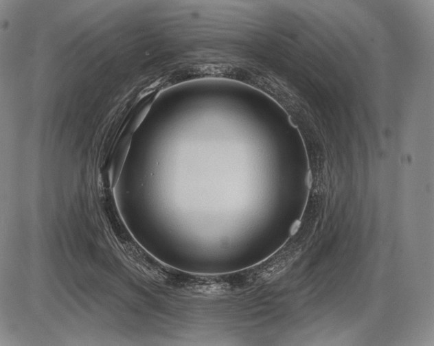 X0000086270646200703291436