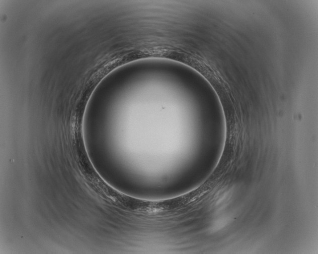 X0000086270647200703291436