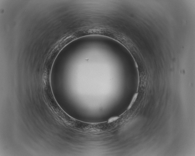 X0000086270648200703291437