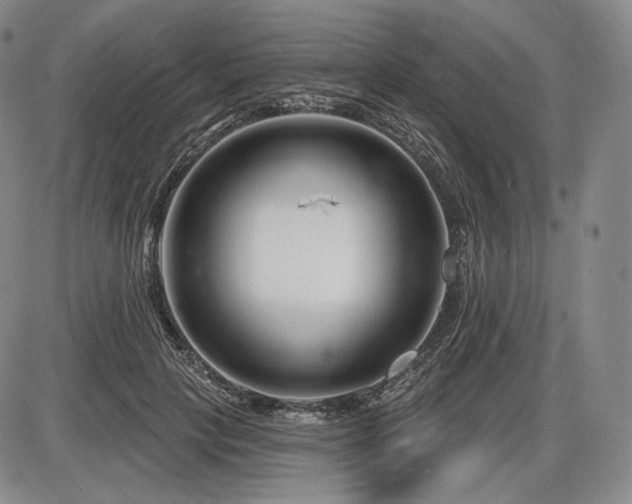 X0000086270649200703291437