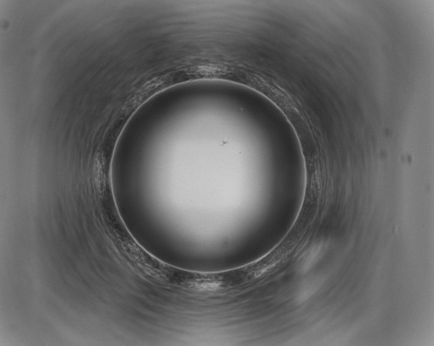 X0000086270651200703291437