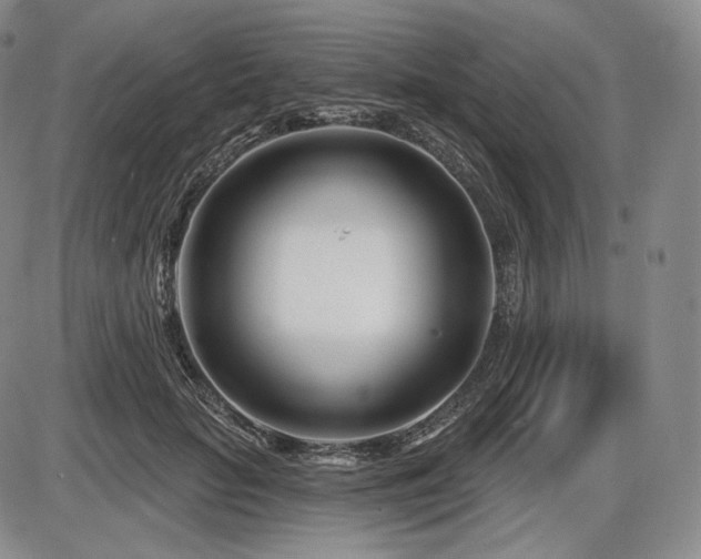 X0000086270653200703291437