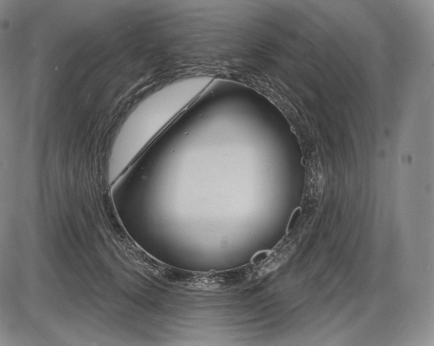 X0000086270656200703291437