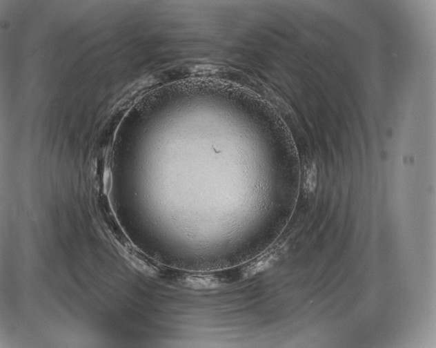 X0000086270666200703291437