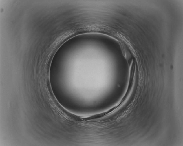 X0000086270673200703291436