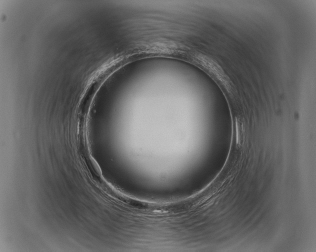 X0000086270675200703291436
