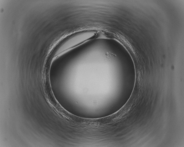 X0000086270676200703291436