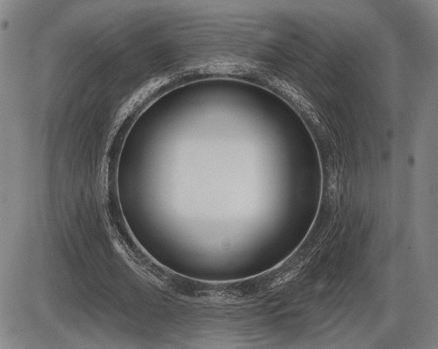 X0000086270678200703291436