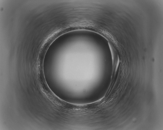 X0000086270680200703291436