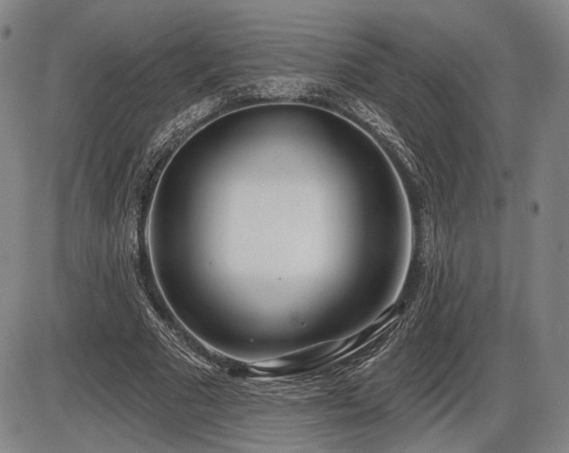 X0000086270681200703291436