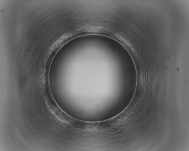 X0000086270682200703291436